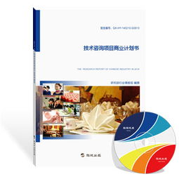 旗讯网技术咨询项目商业计划书