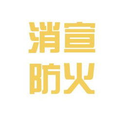 武汉市消宣防火技术咨询中心工作环境与体验综述